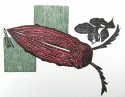 beetle / bug