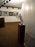 Exsibition