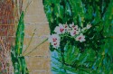 Wild Orchards