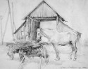 The horsy in Pushkinskih mountains
