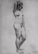 The model