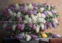 Lilac and lemon