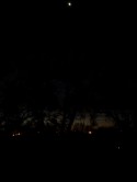 In Silhouette