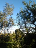 Third Floor Vantage