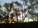 Breaking Light