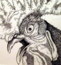 OJO DE GALLO