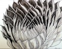 FIBONACCI