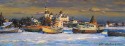 Solovki. Evening