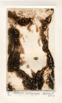 TORSO