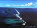 Coral reef