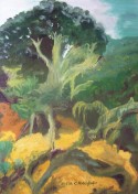 Tropical forest