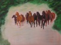 Herd of horses in canter
