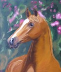 Wonderful horse portrait