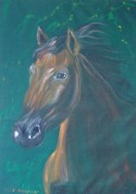 Brown horse portrait on green velvet