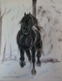 Friesan horse in winter
