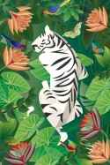 Tiger Nap