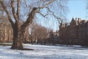 Snow Scene at Lincolns Inn Fields London