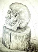 Cranium of a Death on a Wooden Block