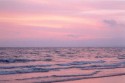 Pink Light -Harlecjh