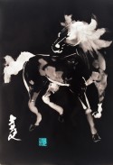 Ghost Horse