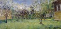 A blossoming garden in Sherehovichi
