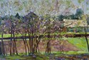Blossoming plums in Sherehovichi