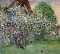 Blossoming apple trees