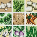 Vegetable Medley