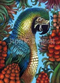 Parrot