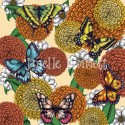 Flowers and Butterflies 