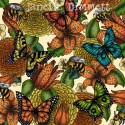 Flowers and Butterflies 