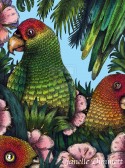 Parrots