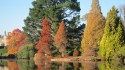 Sheffield Park