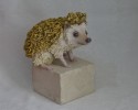 HEDGEHOG