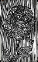 skeptical love rose