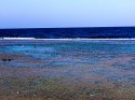Sea III
