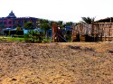 In Egypt