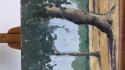 Tree study 2