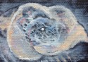 The cats eye nebula