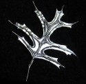 Broche hoja