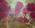 alteredfleurs