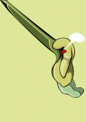 no.x-5