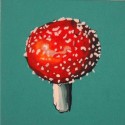 meta-mushroom