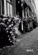 spinozastraat - amsterdam