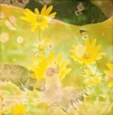 Black-Eyed Susans