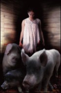 Pig