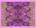 prettypatterninpink
