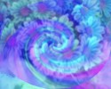 flowerswirl
