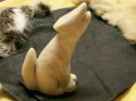 White Wolf