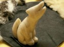 Other View of White Wolf